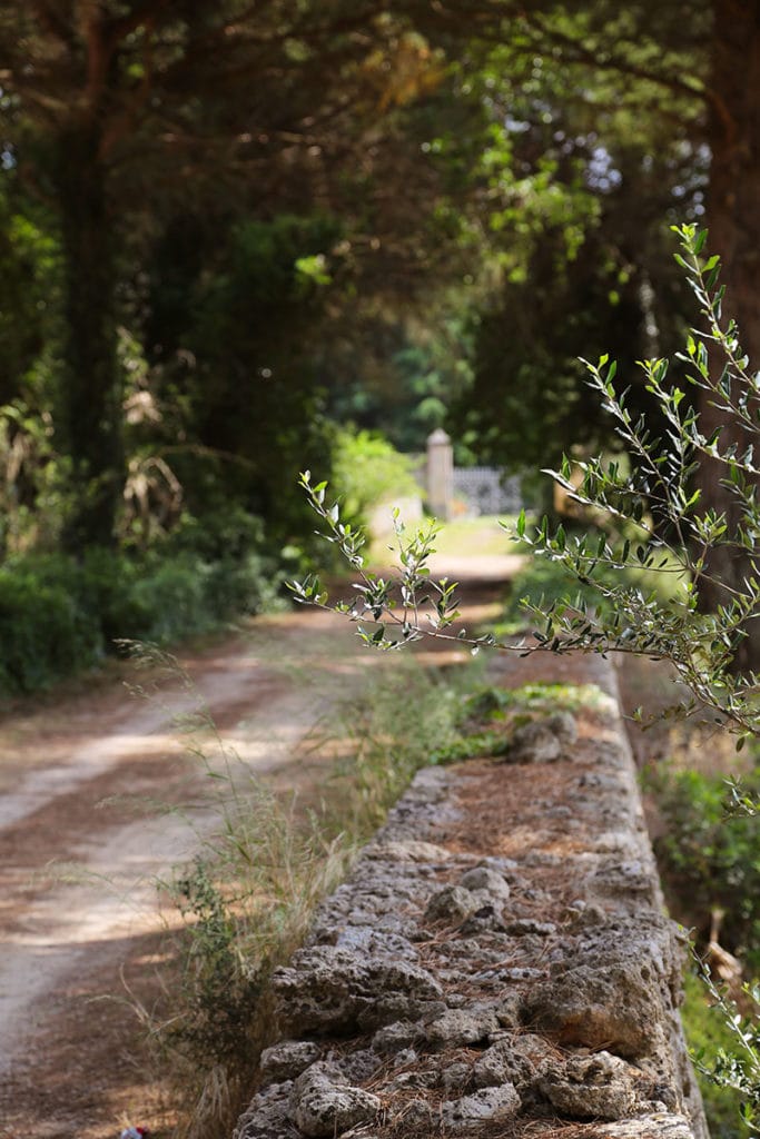 La tenuta