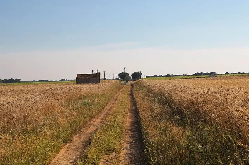 Chi siamo – il territorio Azienda Agricola Guarini - Il Territorio
