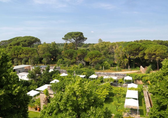 Eventi