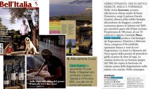 BellItalia ItaliadelGusto Guarini nov19 dal 1065