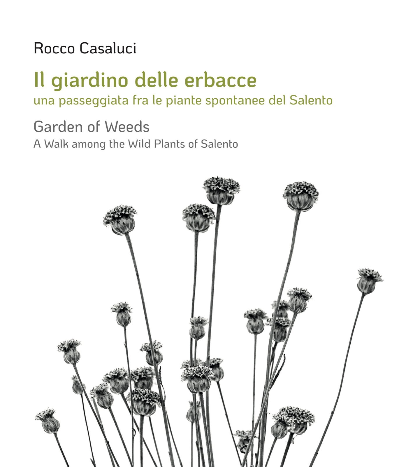 mostra1 mostra1 dal 1065
