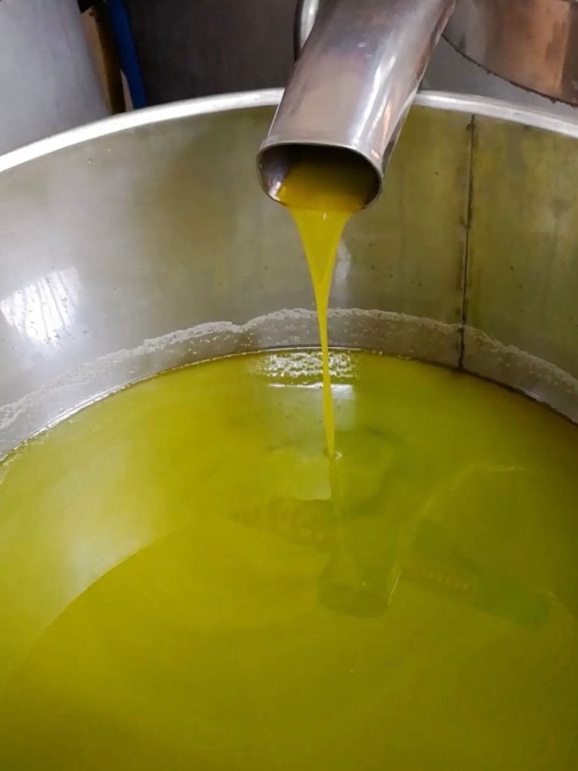 olio nuovo 825x1100 1 dal 1065